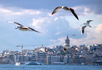 Fototapeta na wymiar Galata tower was filmed on the sea .Kadraja girne blurred seagulls. It was filmed in autumn.