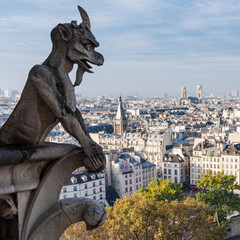 Gargoyle, Notre Dame Cathedral, Paris