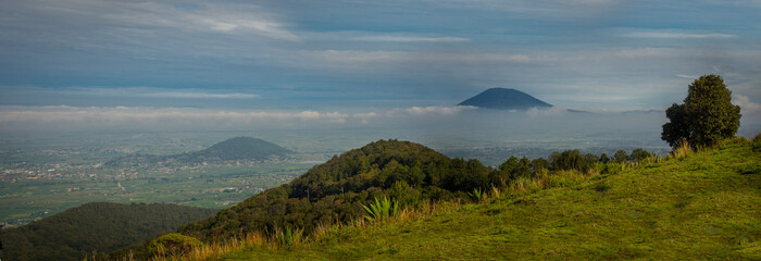 Fototapeta premium Panoramic natural landscape photography in the middle of the forest