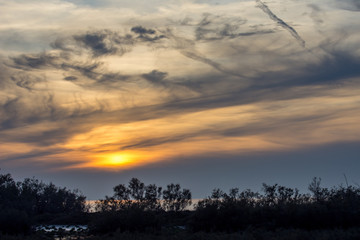 Camargues