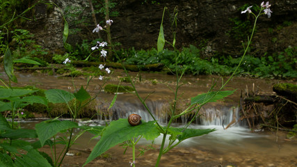 La région du Bugey dans le département de l'Ain