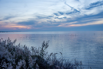 Camargues