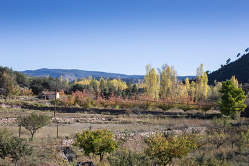 Fototapeta na wymiar Autumn country Alcala de la Selva Teruel Aragon Spain