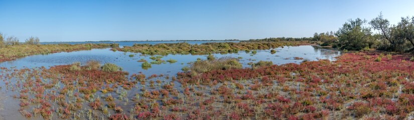 Camargues