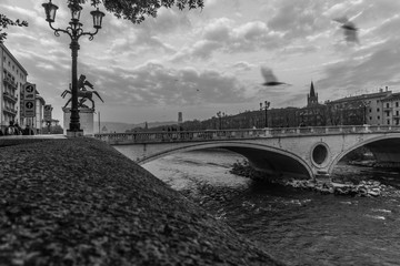 Ponte