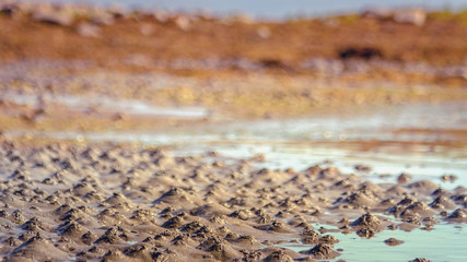 Funny sand relief on the White Sea coast at low tide