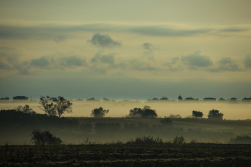 Fototapeta na wymiar Fog over field