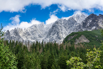 Obraz premium Wonderful mountain landscape. Green forest in the valley and white walls of the peaks from snow and frost in the higher parts of the mountains.