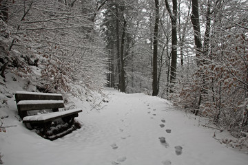 Schneespuren und eine Bank