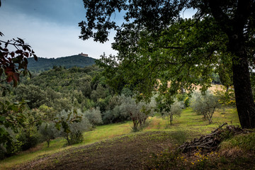 Pomarance, Pisa, Italy