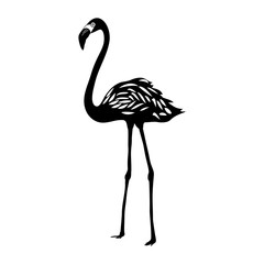 Flamingo silhouette isolated on white background