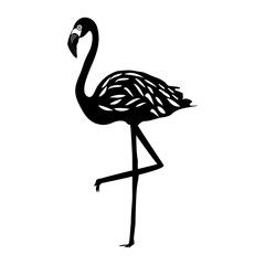 Flamingo silhouette isolated on white background