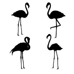 Flamingo silhouettes set isolated on white background