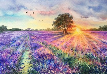Watercolor lavender field. Sunset lavender field. Violet background. France Provence. Spring summer postcard banner. Fragrant flowers. Aroma