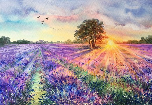 Watercolor lavender field. Sunset lavender field. Violet background. France Provence. Spring summer postcard banner. Fragrant flowers. Aroma © El_Art