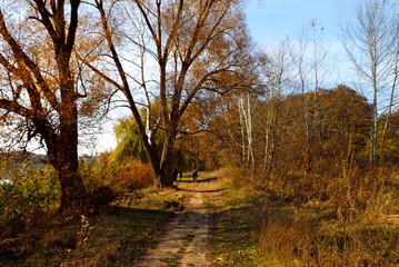 autumn in the park