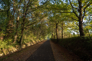 piste cyclable