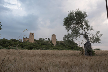 lonely castle in trees and stables