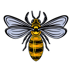 Bee. Vintage style Isolated on a white background.