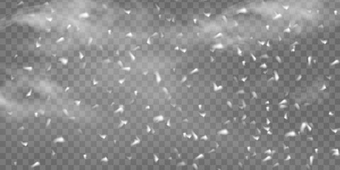 Falling Christmas Shining snow, fog and wind isolated on transparent background. heavy snowfall, snowflakes in different shapes and forms. Winter Holidays Storm with snowflakes flying in the air.