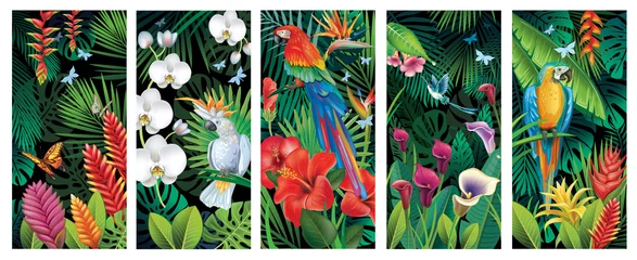 Fotobehang Set achtergronden met tropische jungleplanten en vogels © Viktoriia Protsak