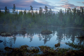 Summer Night landscape in the north of the Kola Peninsula in Russia. White nights, lakes, forests and haze in the swamps