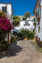 Fototapeta premium Typical medieval town of Obidos in Portugal.