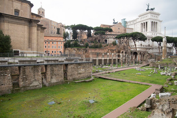Obraz premium Roman forum in Rome Italy on February 8, 2017