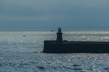Fototapeta premium South Shields Leuchtturm in Großbritanien, Hafeneinfahrt nach Newcastle