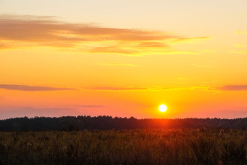 image of sunset over the field
