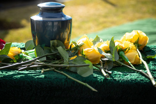 Urn for cremated remains with yellow roses, at an outdoor funeral