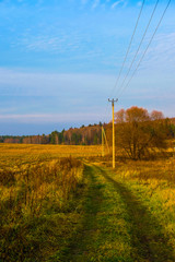 Fototapeta na wymiar Landscape with the image of autumn russian country side