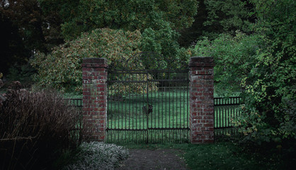 An old gate with a scary feeling