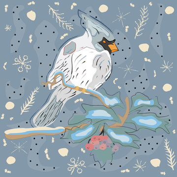 Winter Holiday Greeting Card with Cute Hand Drawn Cardinal Bird
