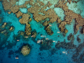 Fototapeta na wymiar Swimming at the Coral Reef