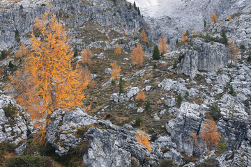Wonderfull autumn view of the Dolomites . Fantastic autumn scene with colour sky, majestic rocky mount and colorful trees glowing sunlight in Dolomites