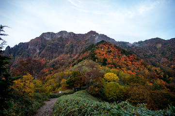 秋の紅葉