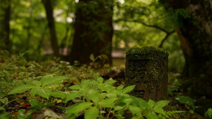 A small statue with Japanese characters overgrown with moss in the forest, Nikko, Japan.