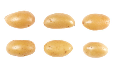 Potatoes set isolated over white background. Top view. Flat lay pattern. Potatoes in air, without shadow..