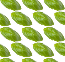 Sweet Basil herb leaves isolated over white background closeup. Flat lay, top view. Seamless pattern..