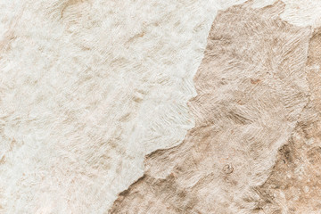 Old wood background texture. The vintage wooden.