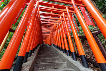 Japanese traditional red Tori gates in Tokyo