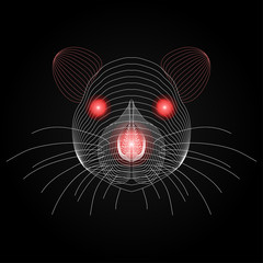 rat face x-ray with red luminous eyes