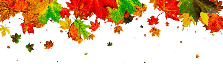 Autumn leaves falling. Season pattern isolated on white backgrou