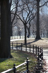 Curvy walkway with fence on sunny fall day in Central Park