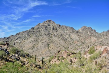Fototapeta na wymiar Piestewa Peak Phoenix Mountains Arizona Mountain Sonoran Desert 