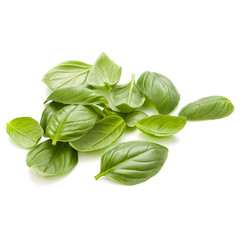 Sweet basil herb leaves handful isolated on white background closeup