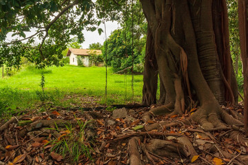 Fazenda IMG_8512