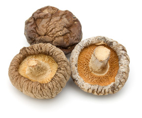 Dried Shiitake Mushroom isolated on white background