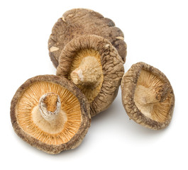 Dried Shiitake Mushroom isolated on white background